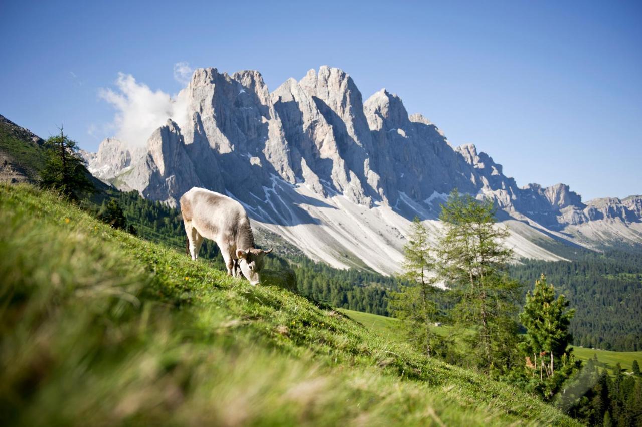 Raschoetzhof Funes  Exterior photo